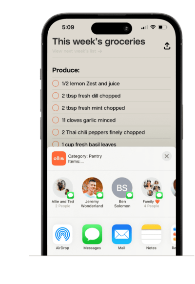 Share or export your digital grocery list